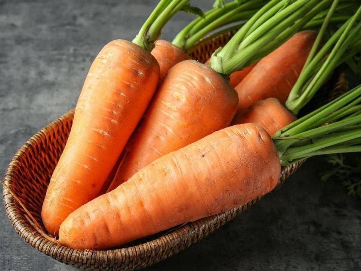 Elasticidad y efecto terso, los resultados de la mascarilla de zanahoria