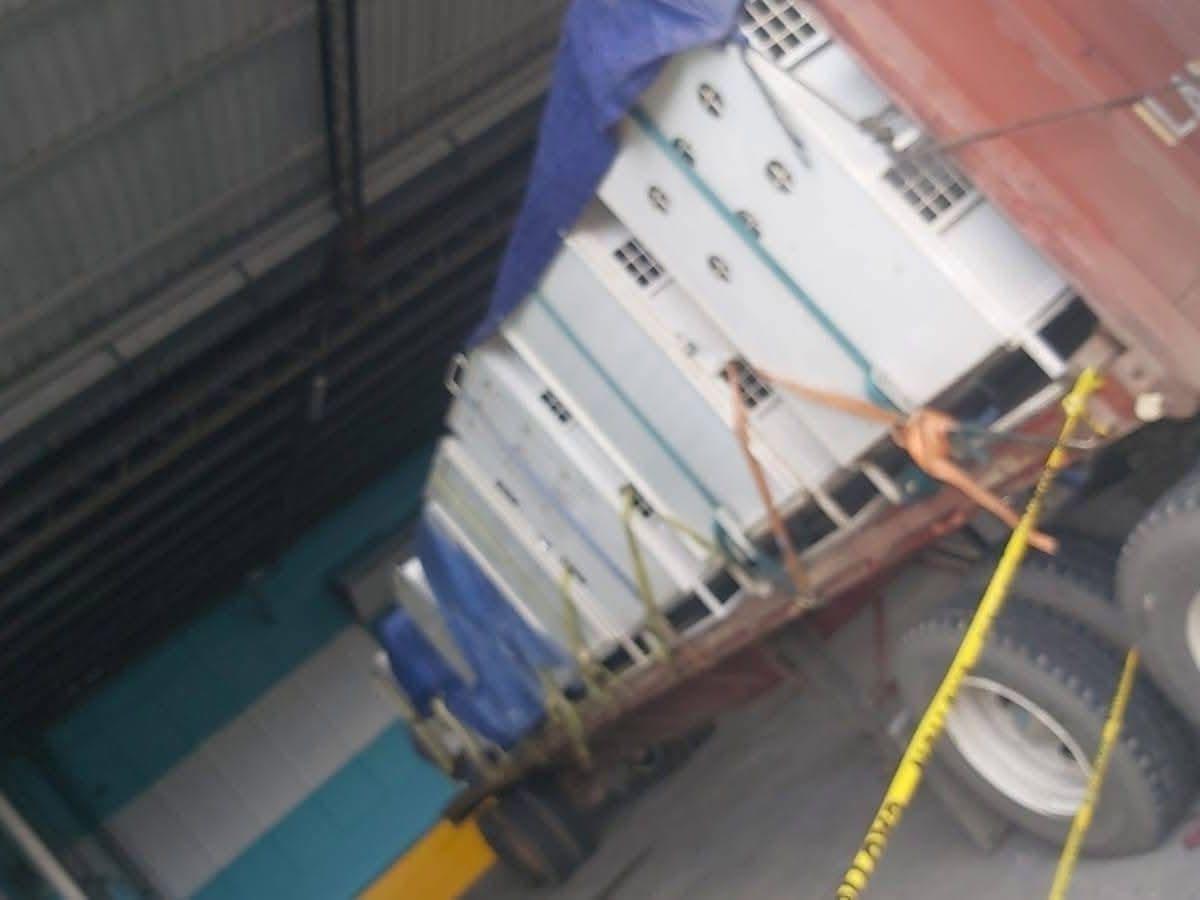 Honduras reubica por primera vez en EE UU a ocho grandes felinos para su conservación