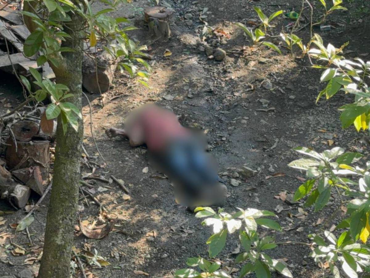 Dos hombres se matan a disparos por el amor de una mujer en Cofradía, Cortés