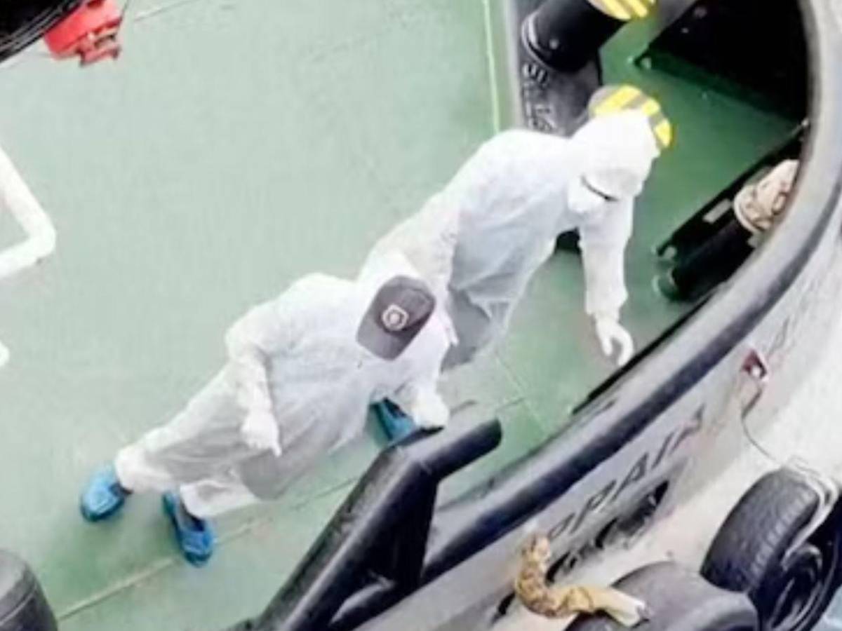 Encerrados y rechazados por países: así viven pasajeros del crucero con brote de hantavirus