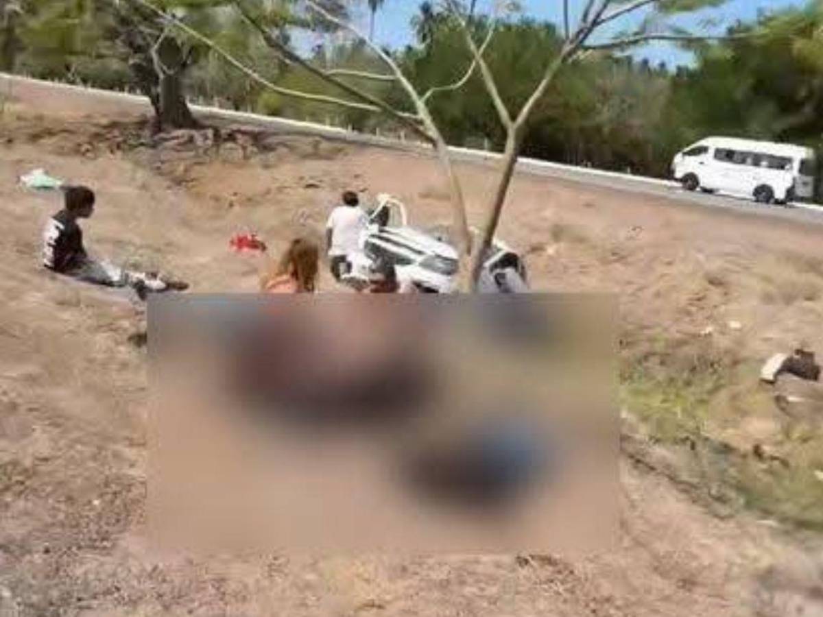 Trágico viaje a la playa en México: familia pierde la vida en accidente; hasta mascota murió
