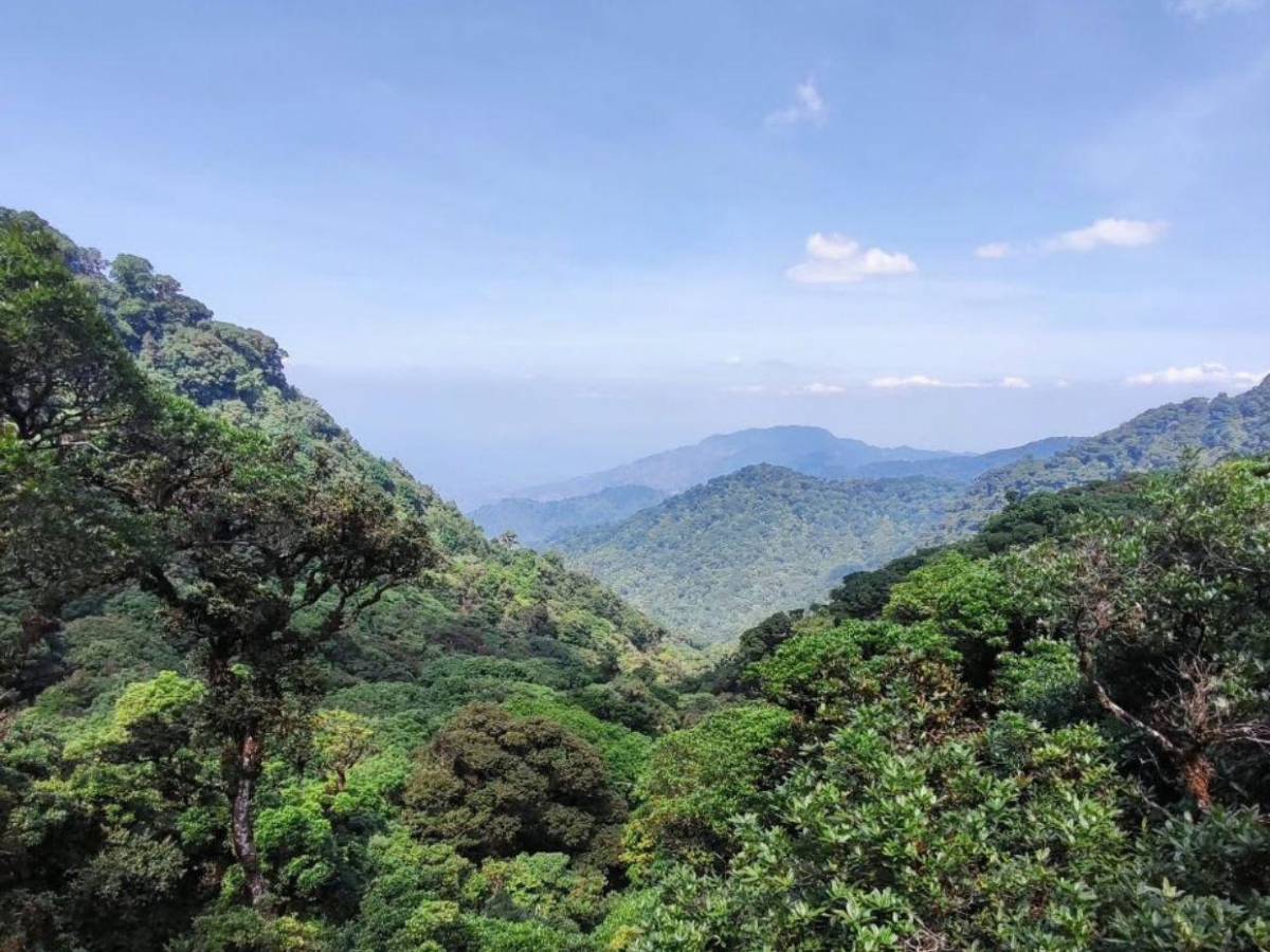 Turismo de montaña en La Tigra: Así se vive una escapada entre la naturaleza y neblina
