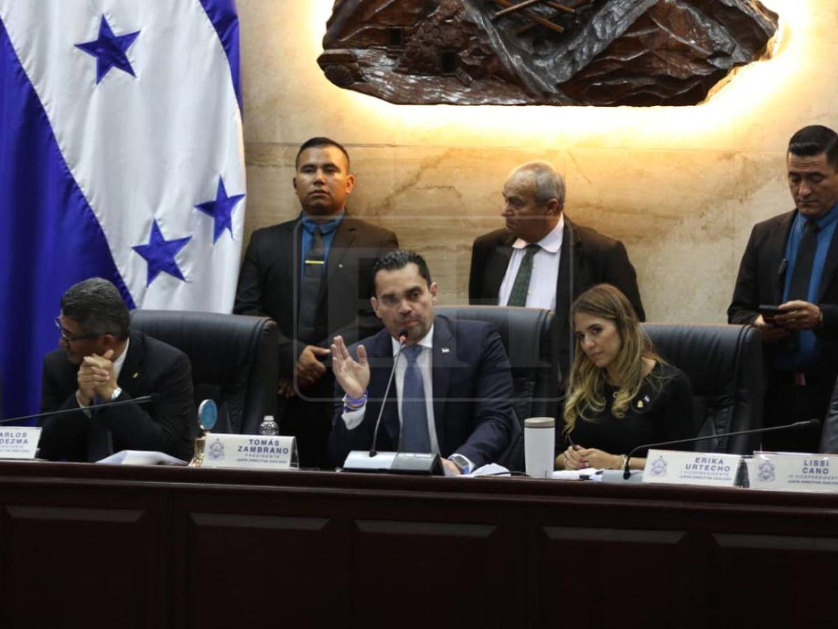 ¿Quiénes pueden ser electos para sustituir en el cargo a Marlon Ochoa y a Mario Morazán?