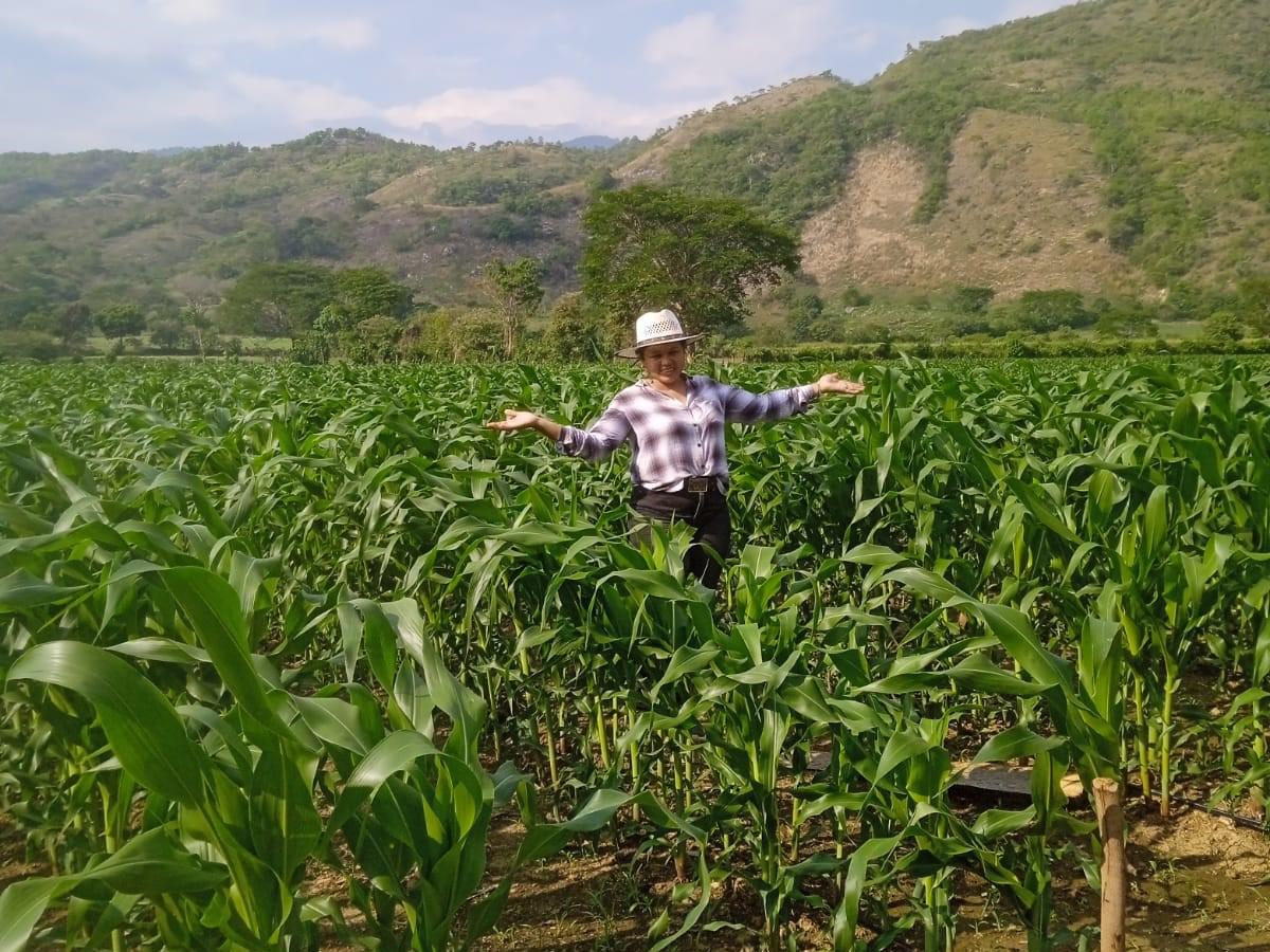 <i>El “Crédito para Ellas” beneficia a mujeres en asociaciones agroproductivas.</i>