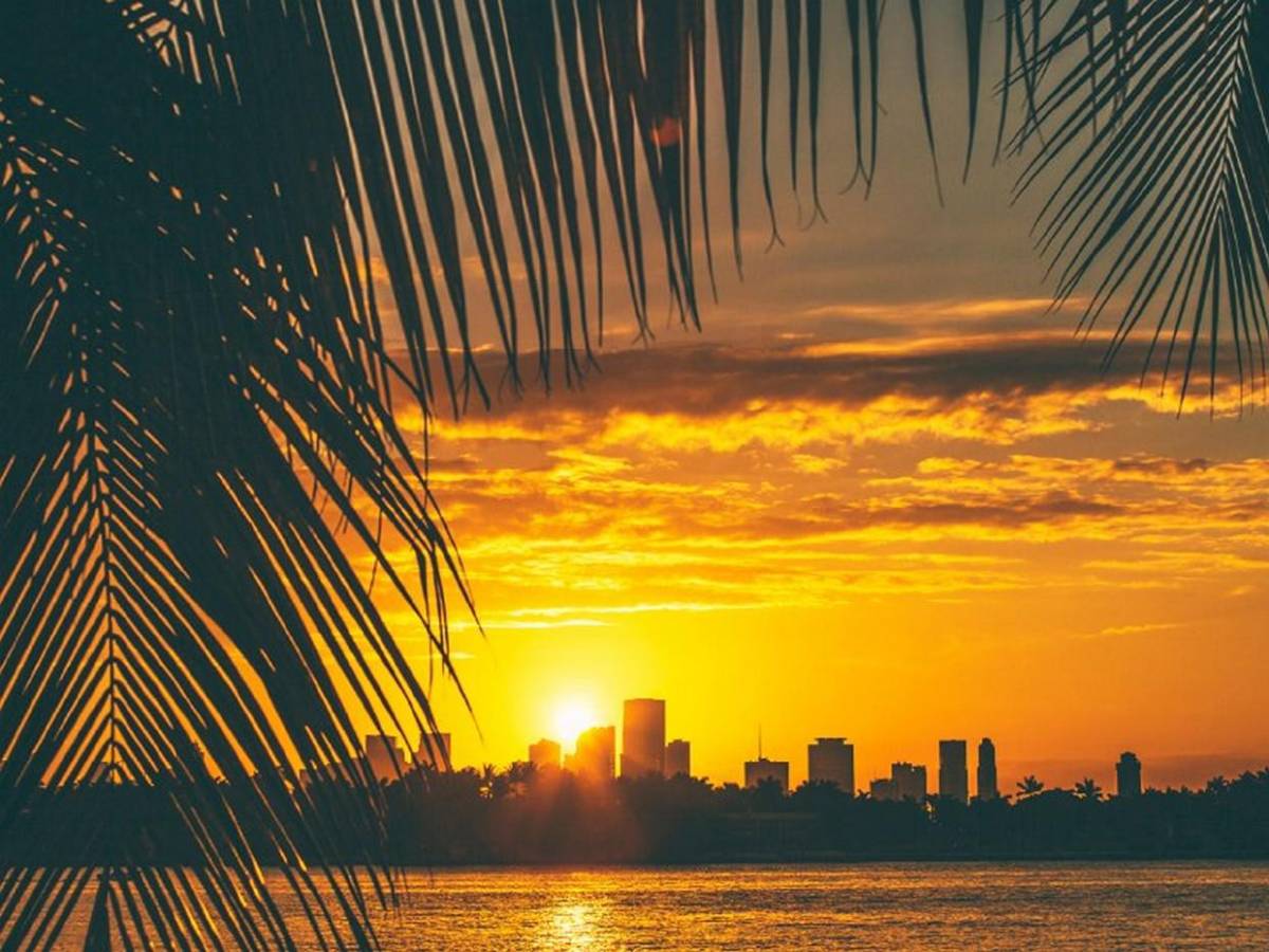 ¿Por qué vestirán de rosa en Miami los árbitros en partido Uruguay y Arabia Saudí?