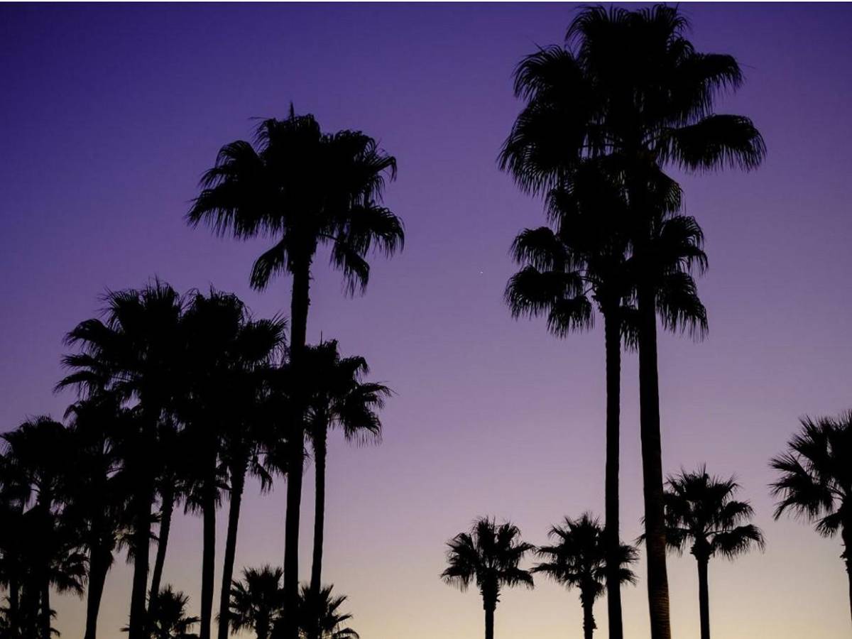 ¿Por qué vestirán de rosa en Miami los árbitros en partido Uruguay y Arabia Saudí?