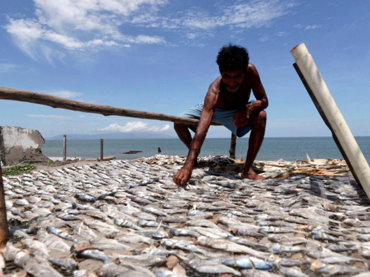 Las impactantes imágenes de Cedeño, la comunidad hondureña que el mar está borrando del mapa