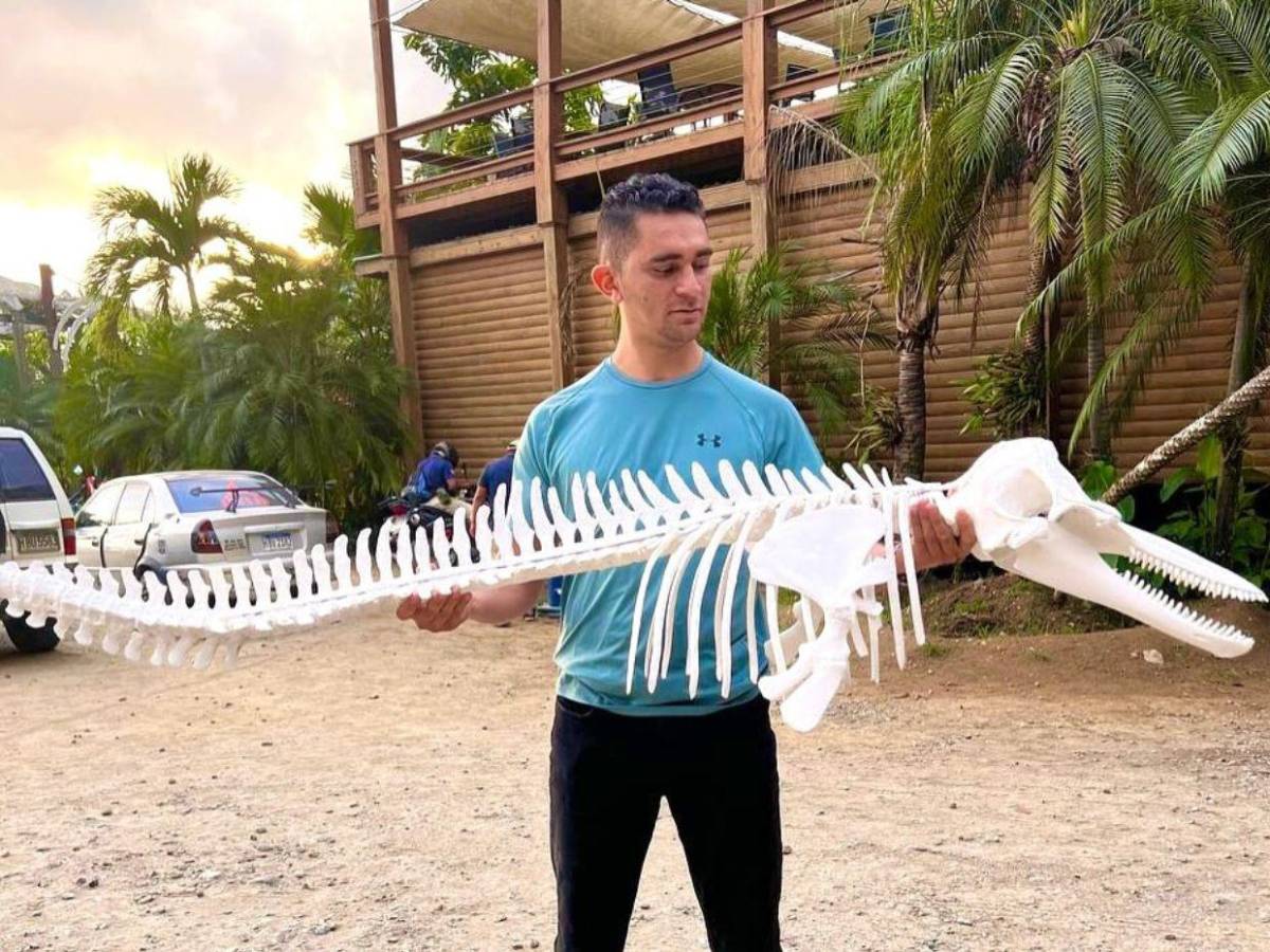 Hondureño transforma placentas en arte y huesos en esculturas sorprendentes