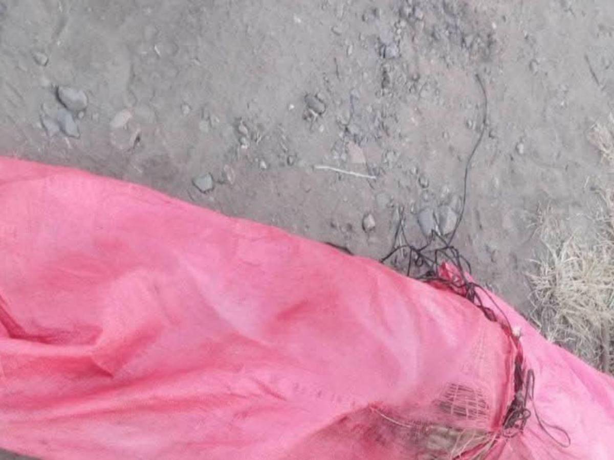 Crimen de Marlen Paguada, mujer hallada dentro de un costal en Olanchito, Yoro
