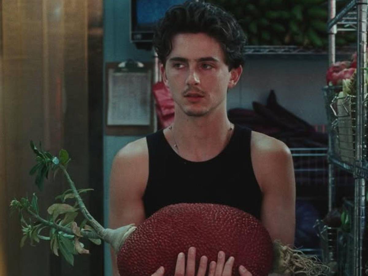 ¿Cuál es la verdadera razón de la ausencia de Kylie Jenner y Timothée Chalamet juntos?