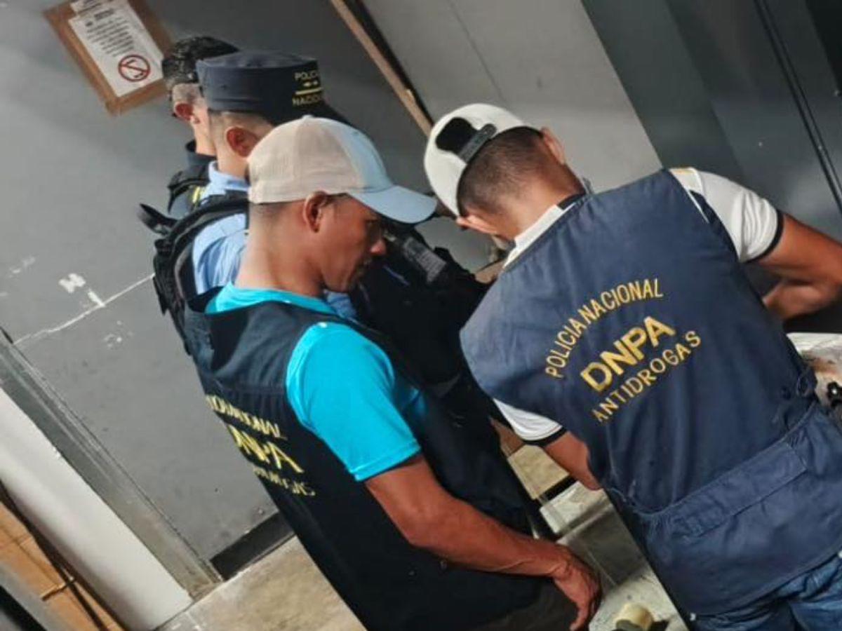 El queso iba como encomienda, pero llevaba cocaína: así intentaron enviar droga a EE UU desde Honduras