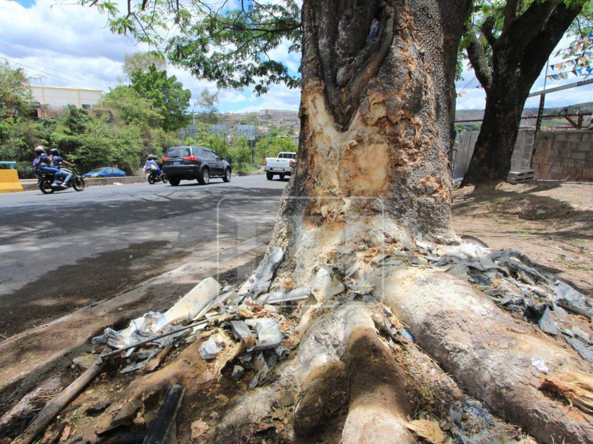 Solo escombros: la escena del accidente donde Hernán Martínez perdió la vida