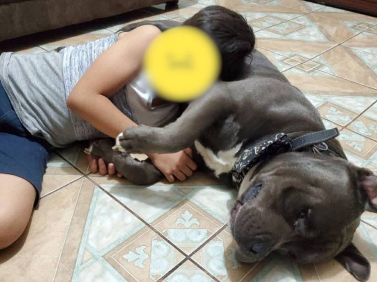Indignación por muerte de “Chris”, el pitbull que habría sido torturado en Intibucá