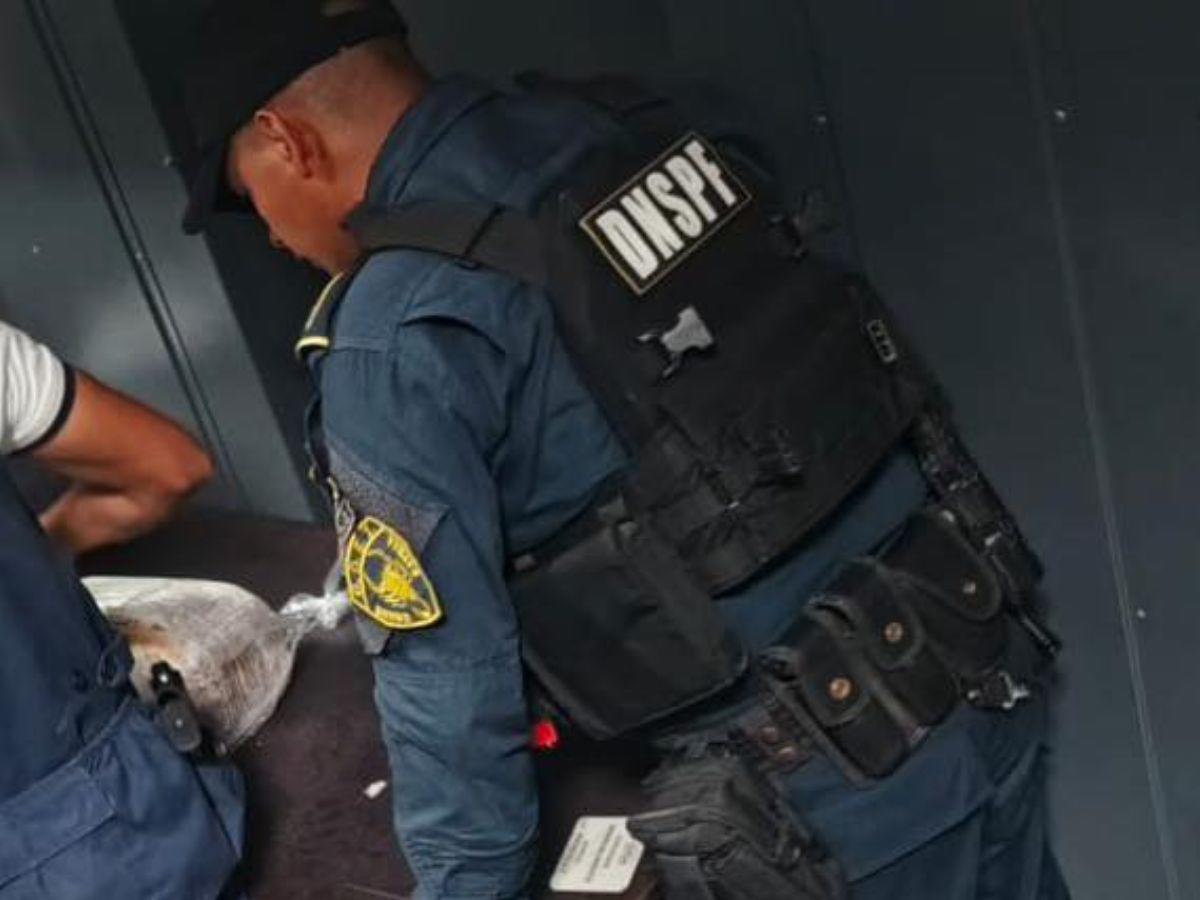 El queso iba como encomienda, pero llevaba cocaína: así intentaron enviar droga a EE UU desde Honduras