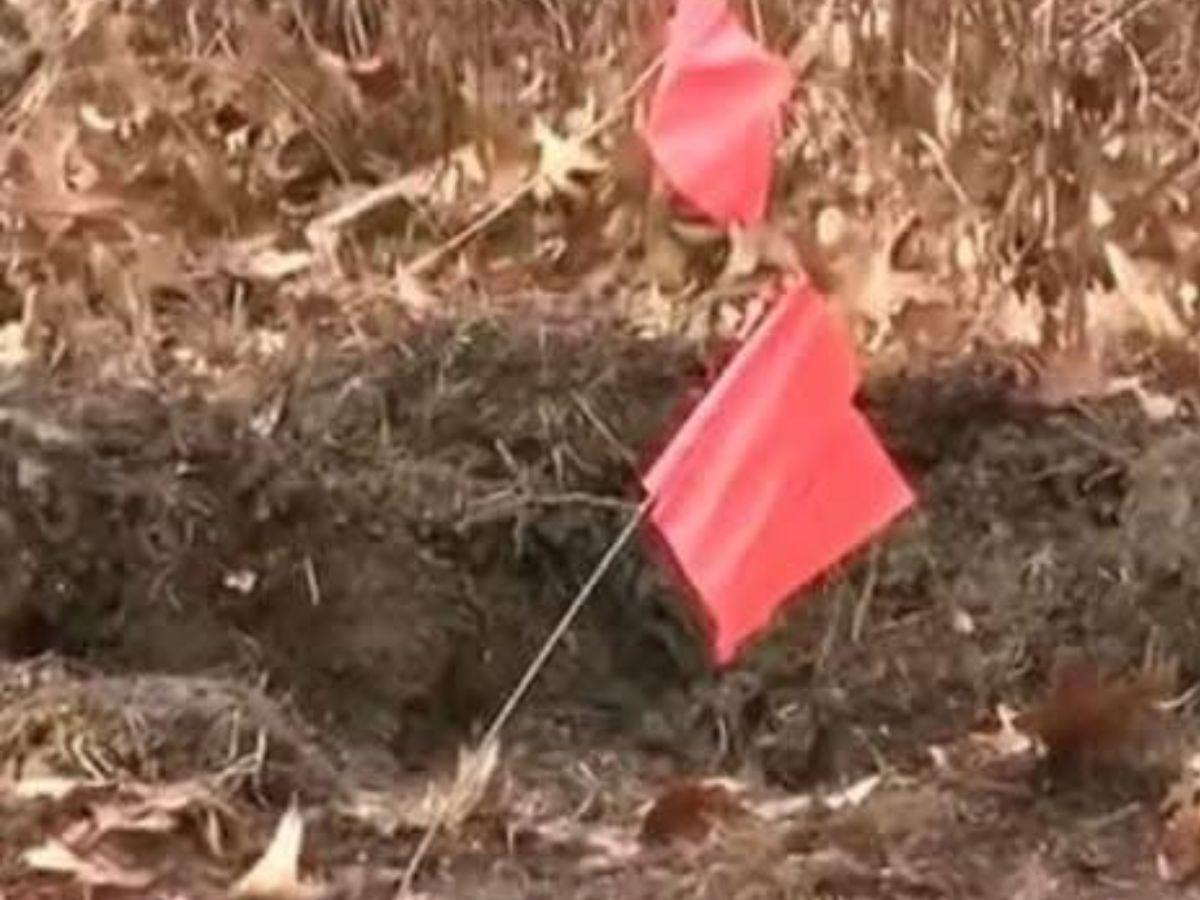 Amor y Mila, las pequeñas asesinadas y metidas en una maleta por su madre