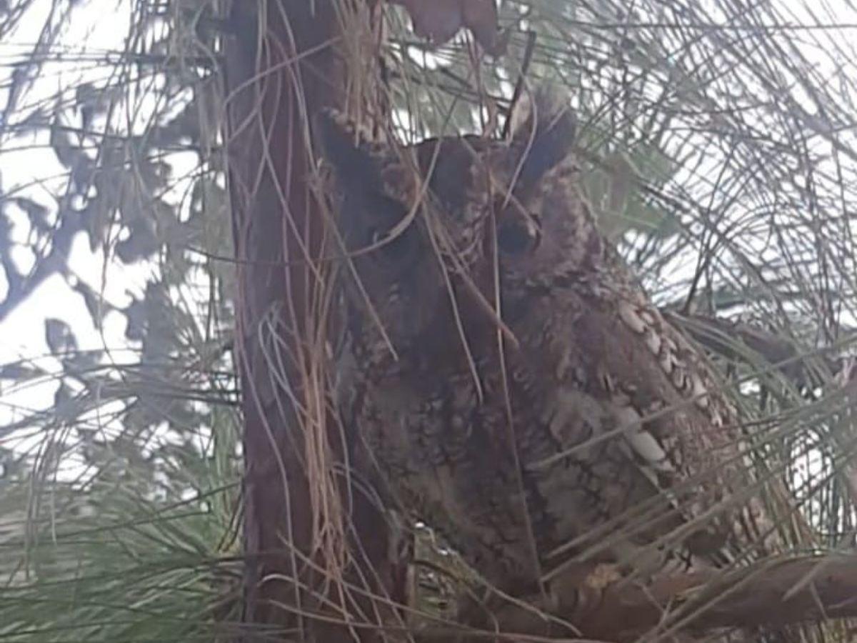 Triquilapa, lugar de ensueño cerca de la capital donde se respira nuevos aires