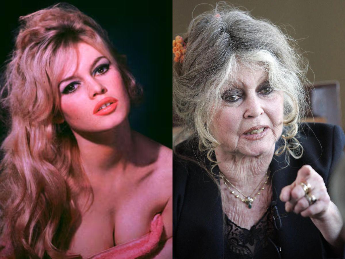 Antes y después de Brigitte Bardot: del ícono del cine a defensora de los animales