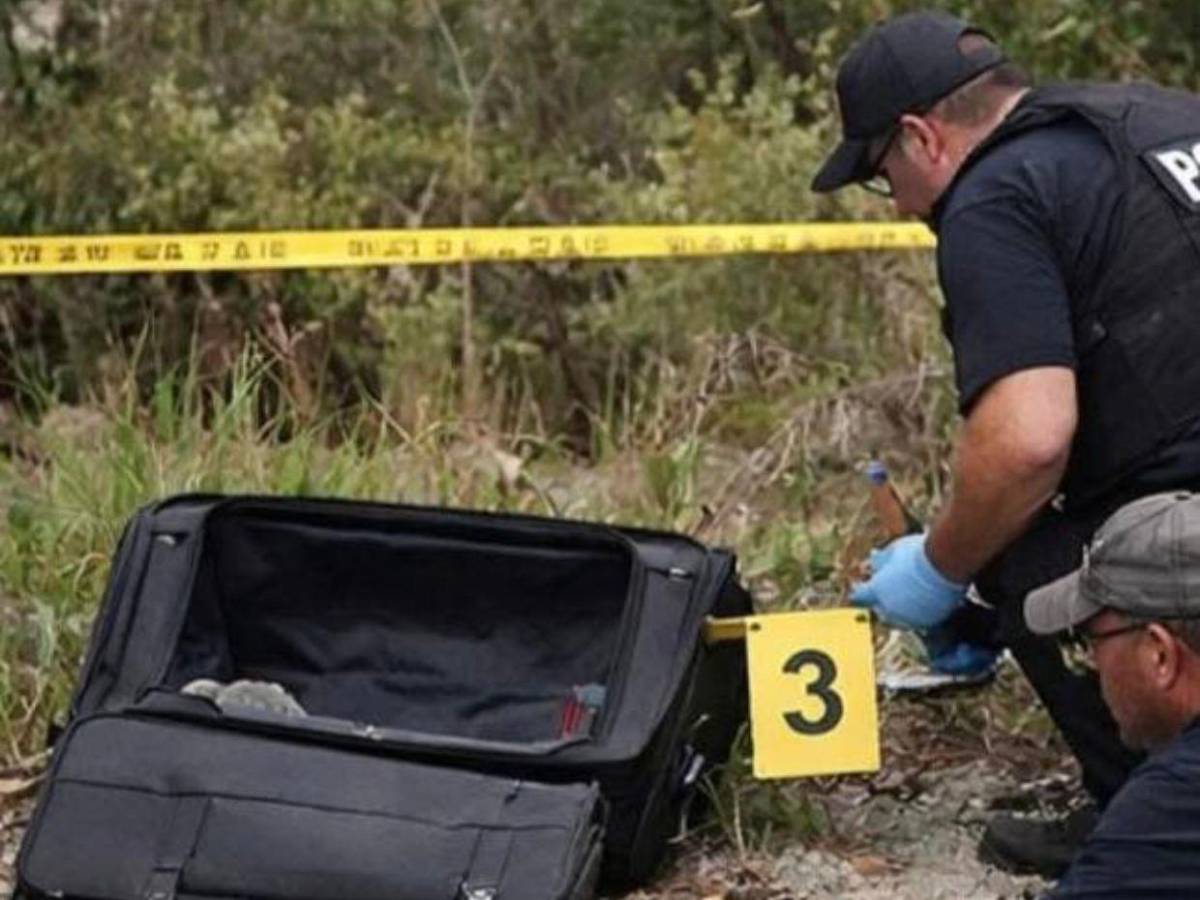 Mató a un depredador sexual, lo desmembró y guardó muestras de su sangre al estilo de Dexter