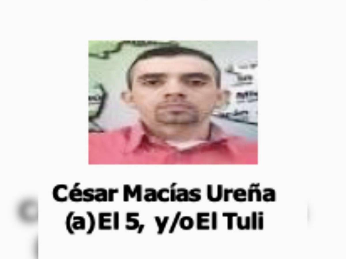 ¿Quién era El Tuli? La mano derecha de El Mencho que coordinó ataques tras muerte del líder de CJNG
