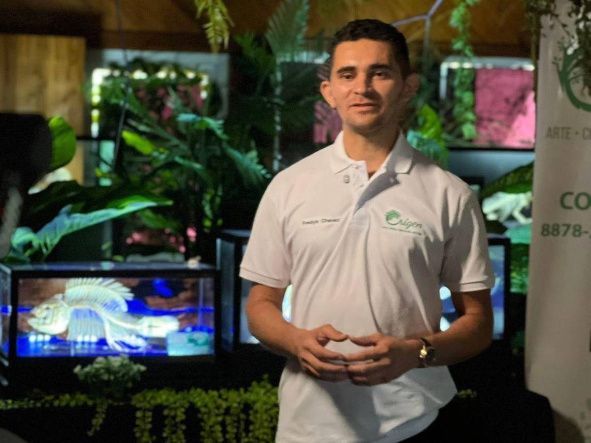 Hondureño transforma placentas en arte y huesos en esculturas sorprendentes