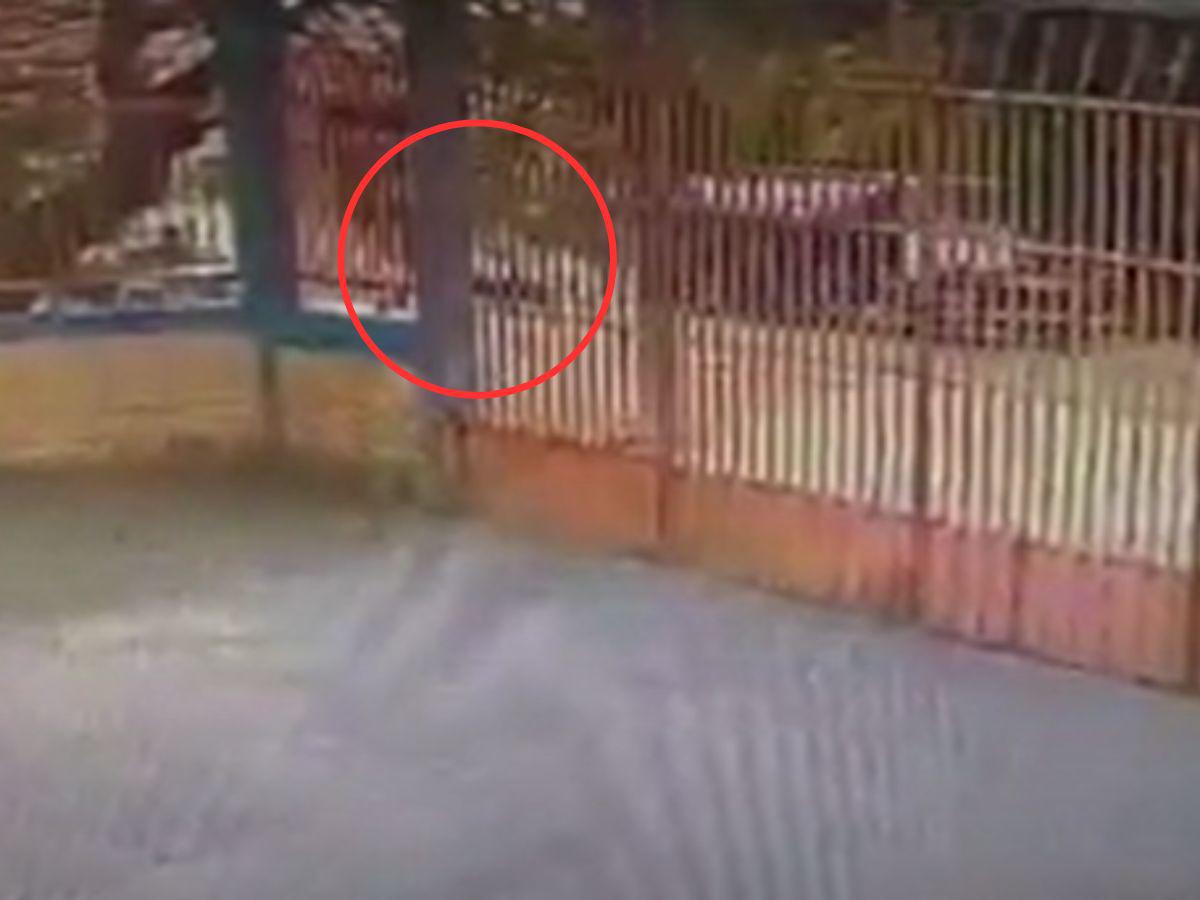 Cuadro a cuadro: cámara capta el momento en que Kellin Flores es arrollada por un camión cisterna