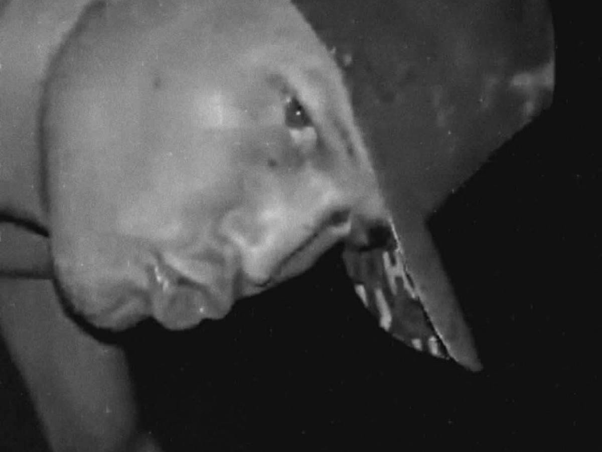 Alias “La Muerte” obligaba a sus víctimas a cavar sus tumbas y las desmembraba
