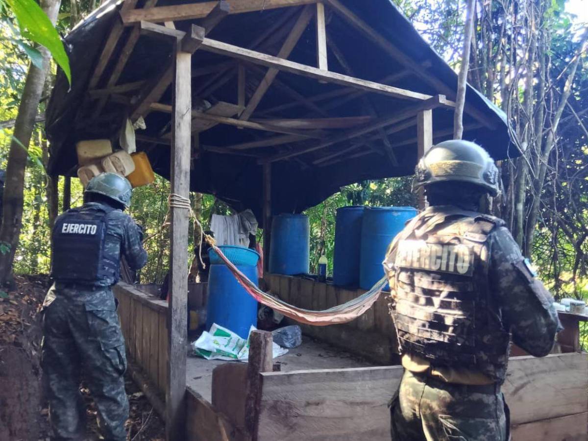 Aseguran plantación con 25 mil arbustos de hoja de coca en Bonito Oriental, Colón