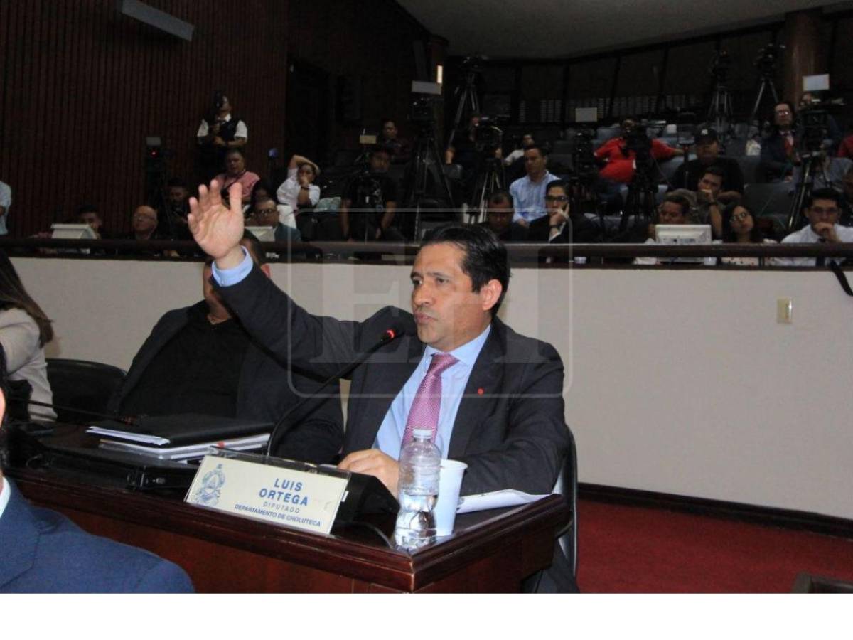 ¿Quiénes pueden ser electos para sustituir en el cargo a Marlon Ochoa y a Mario Morazán?