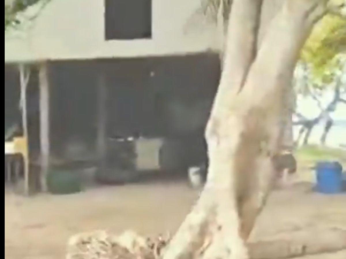 Hallan cadáver de un hombre mientras buscaban el barco desaparecido Lucky Lady: ¿era un tripulante?