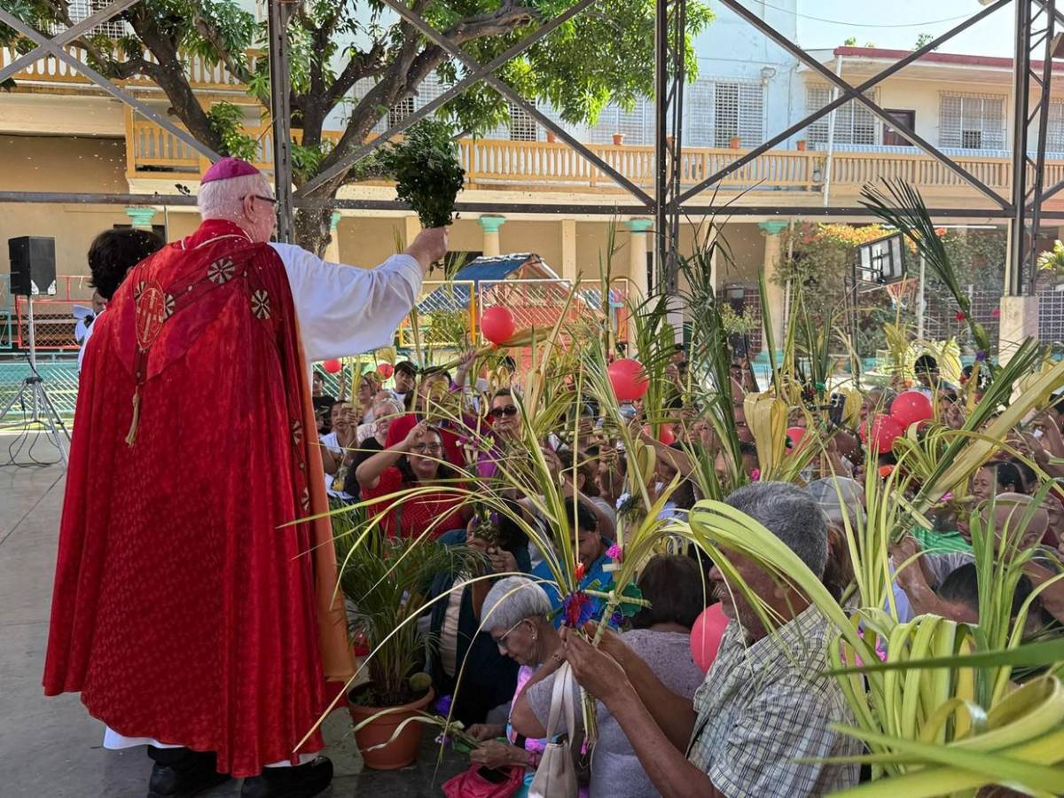 Las mejores imágenes que dejó el Domingo de Ramos de 2025 en Honduras Las mejores imágenes que dejó el Domingo de Ramos de 2025 en Honduras