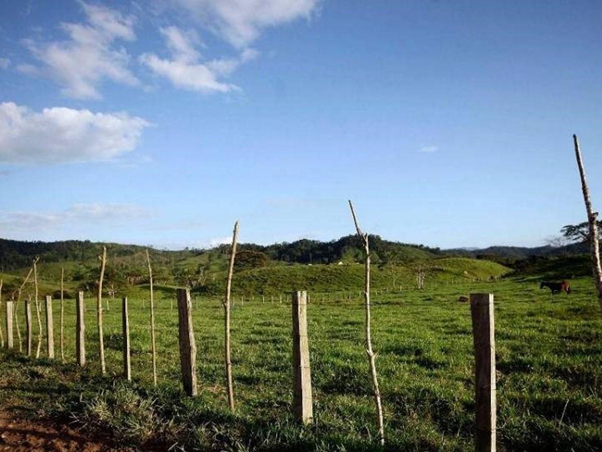 En agosto iniciarían labores dos juzgados especializados en territorio y medio ambiente