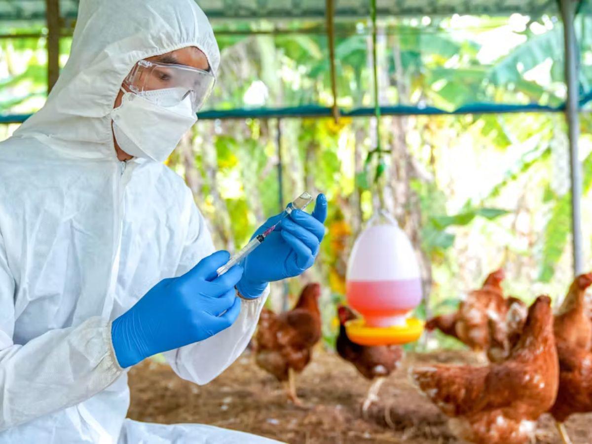 Enfermedad misteriosa cobra decenas de vidas: OMS envía expertos para investigar su origen