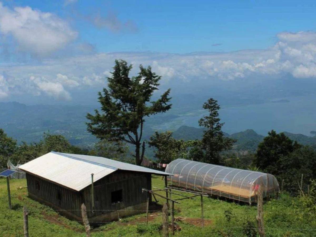 ¿De qué se trata? El negocio que iniciaron Falcao y Ter Stegen en Honduras