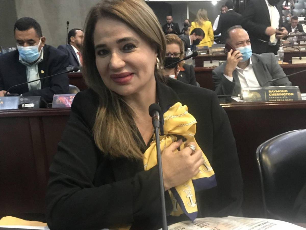 Los diputados con más años en el Congreso y se reeligen en 2025; uno tiene más de 20