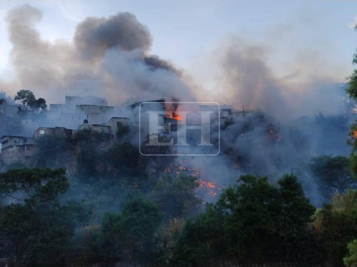 Familias desesperadas: Así fue el pavoroso incendio que afectó varias viviendas en La Rivera de La Vega