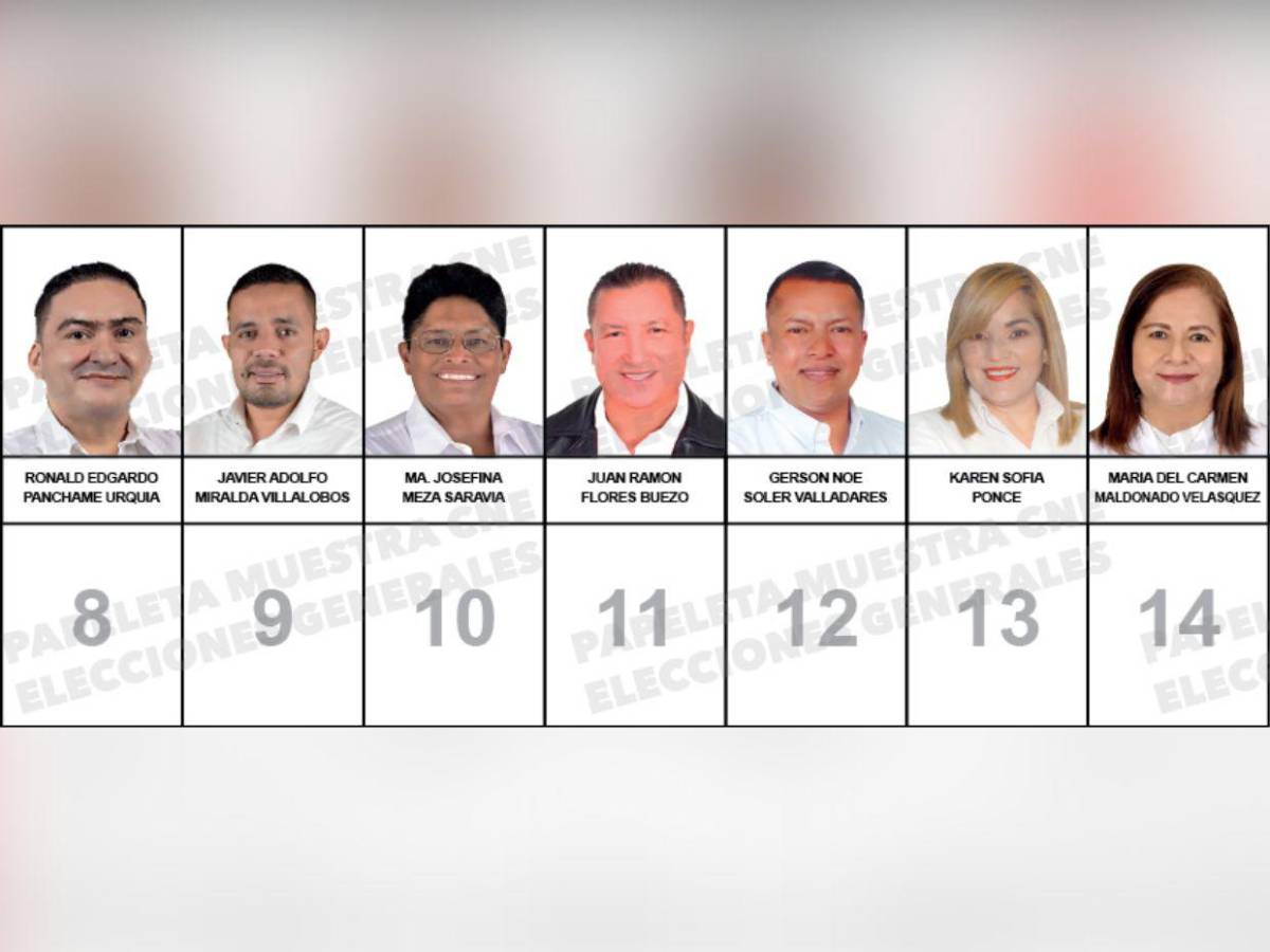 Con Isis Cuéllar y el esposo de Rixi Moncada: así va la papeleta de diputados por Libre