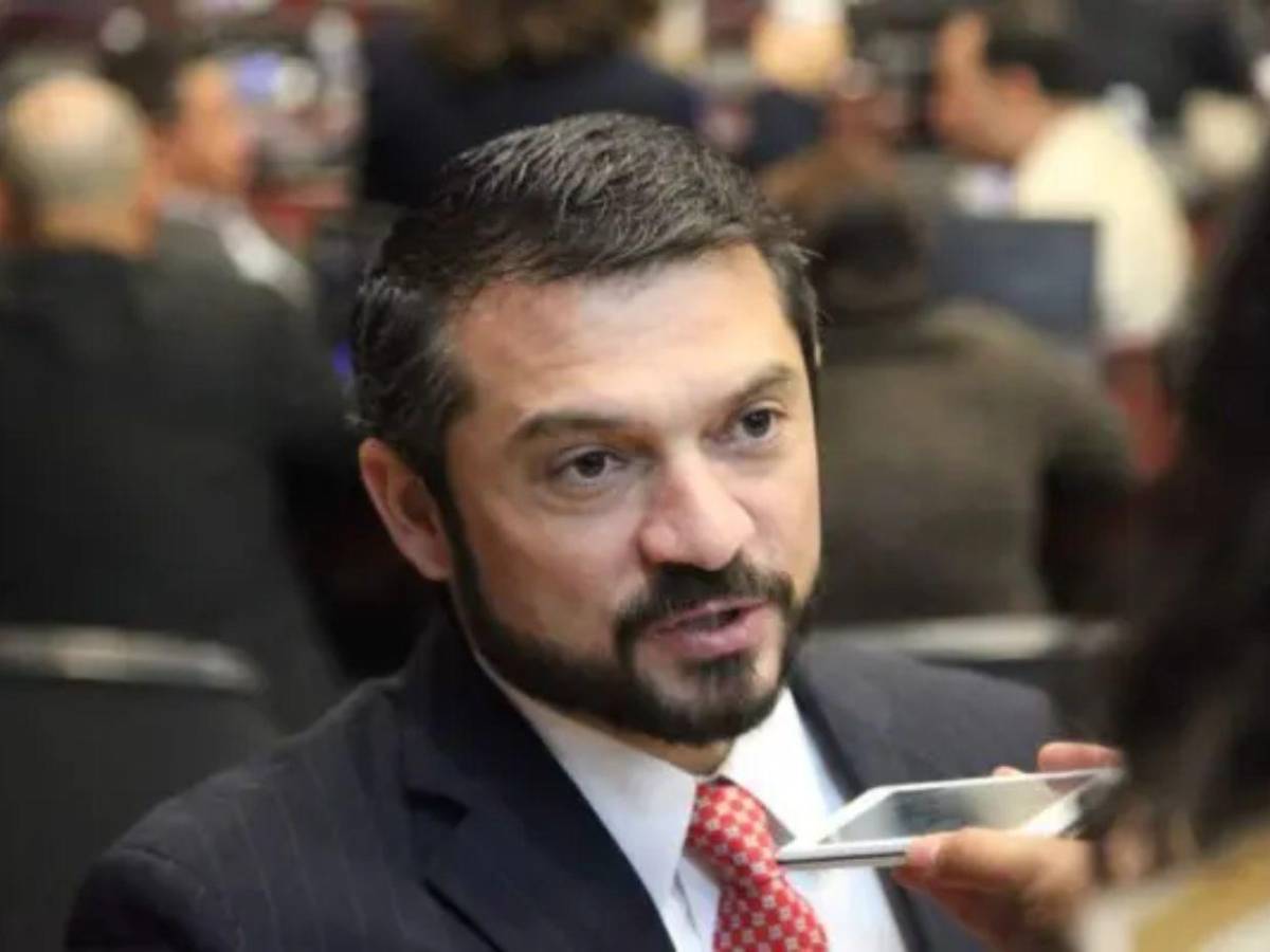 Iroshka, Tomás y hasta Godofredo: candidatos a diputados que estarían quedando en el CN