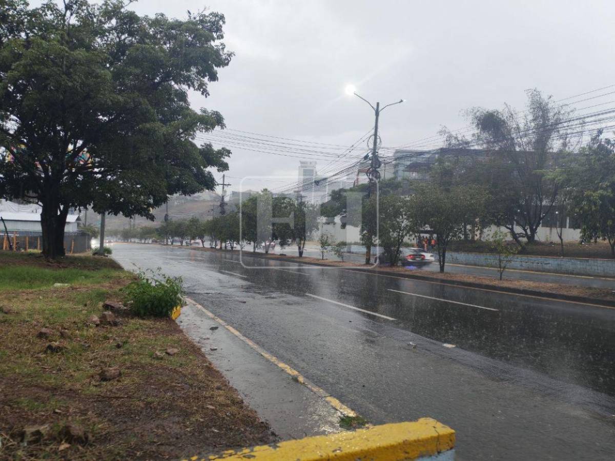Tormentas eléctricas por onda tropical: zonas que deben tomar medidas por fuertes lluvias este domingo