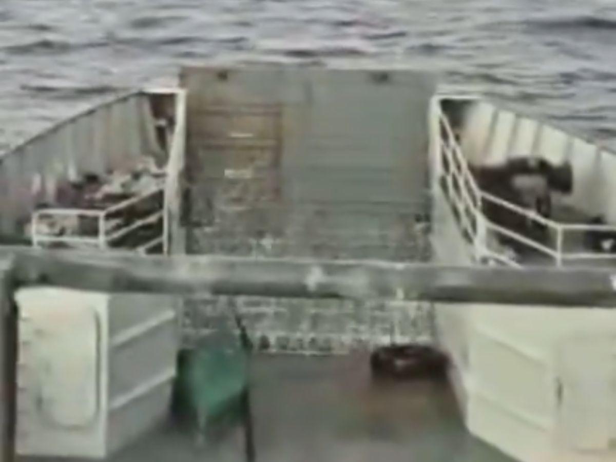 Hallan cadáver de un hombre mientras buscaban el barco desaparecido Lucky Lady: ¿era un tripulante?