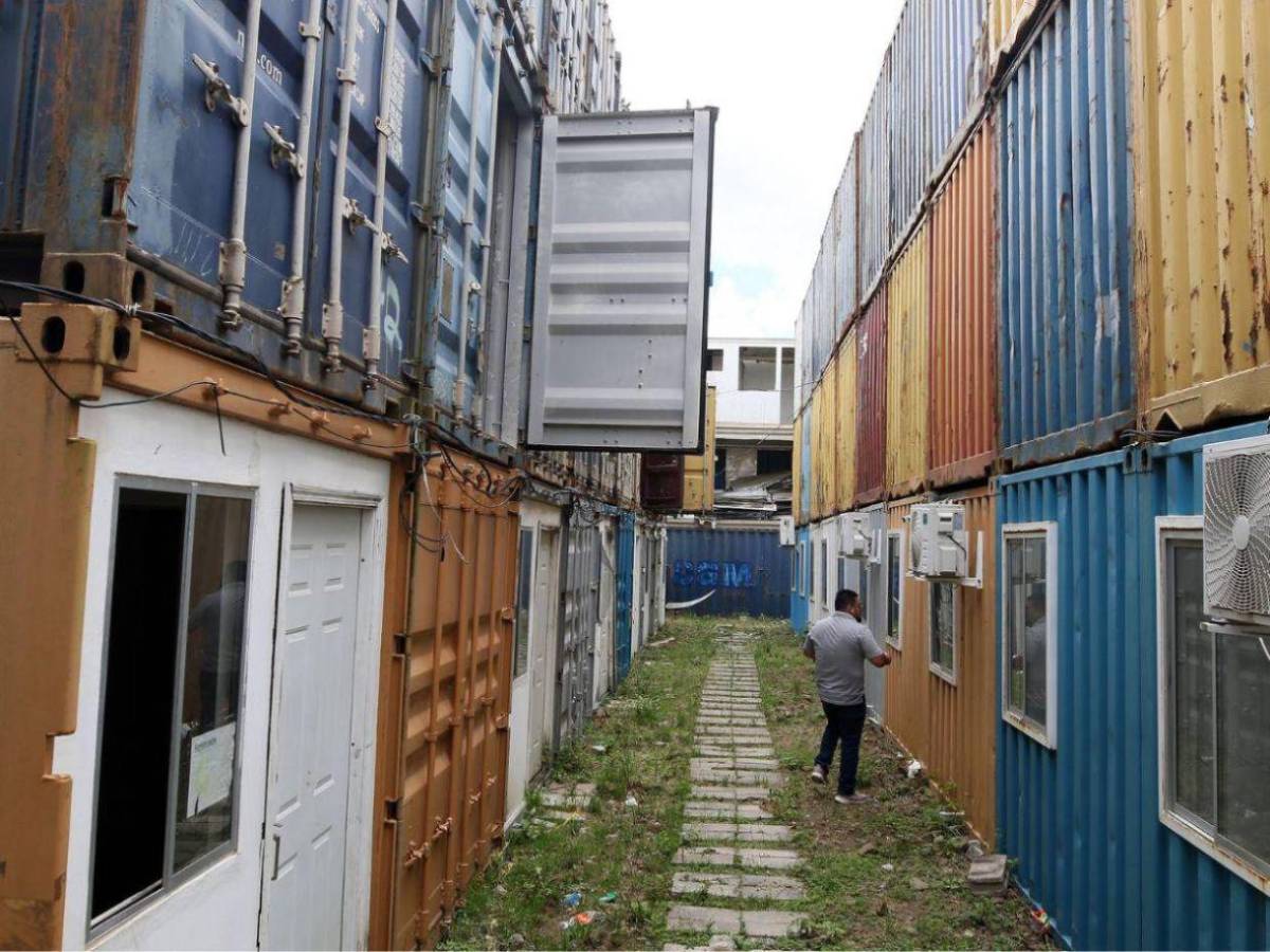 Se robaron los sanitarios y las casas son habitadas por vacas: crisis en Lomas del Diamante