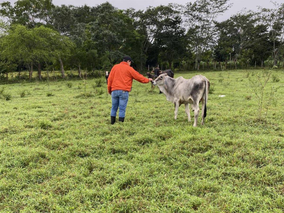 Dos sicarios y nueve casquillos: Así ocurrió asesinato de juez de Policía Kevin Erasmo