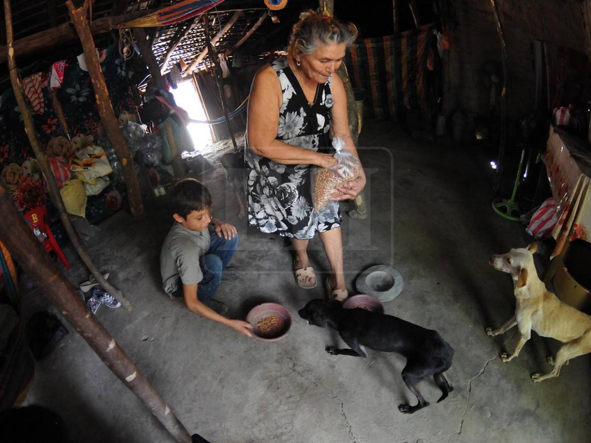 La ayuda también los abarcó: mascotas reciben alimento en el Corredor Seco