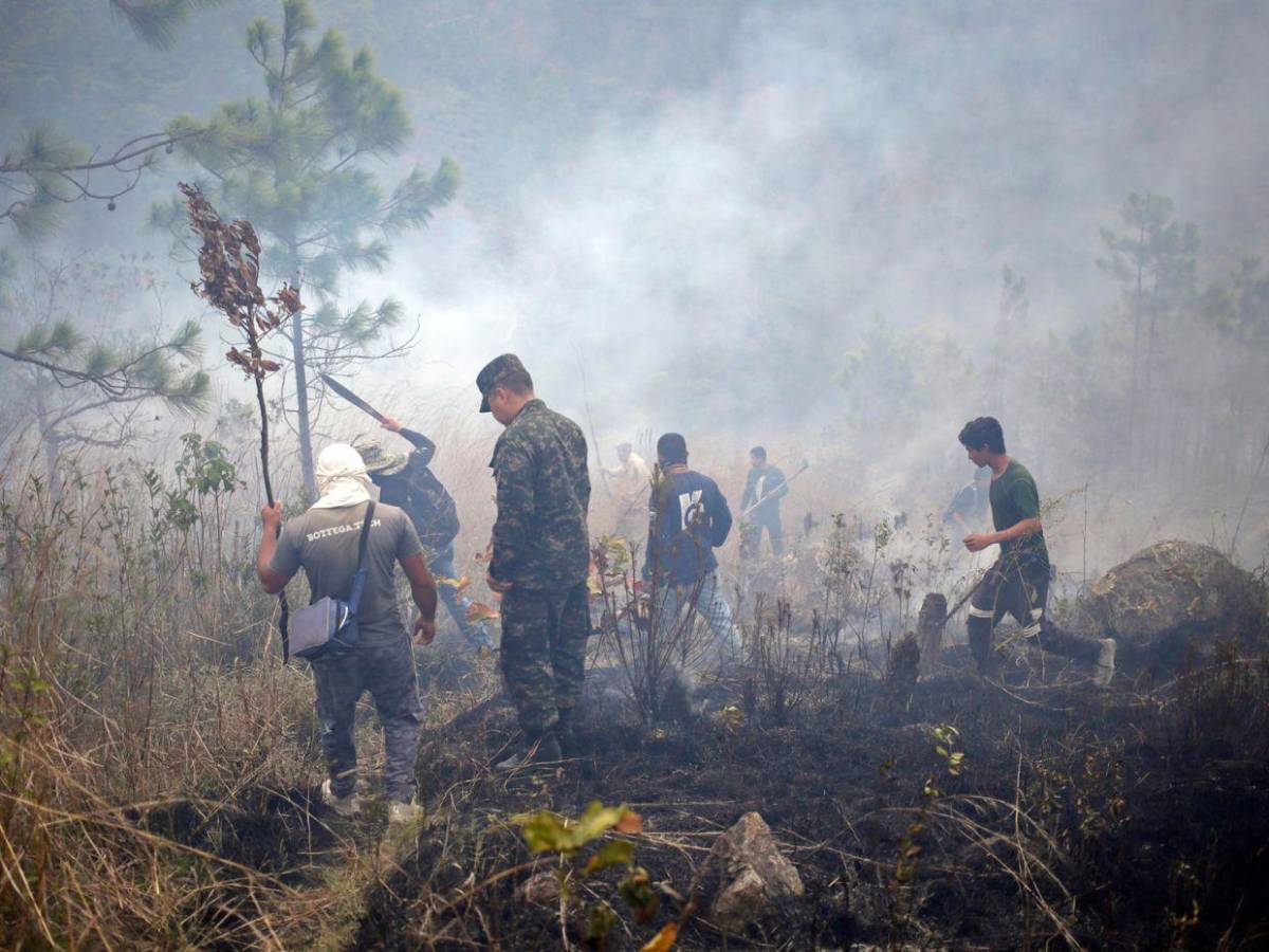 FF AA combaten nueve incendios forestales durante el fin de semana