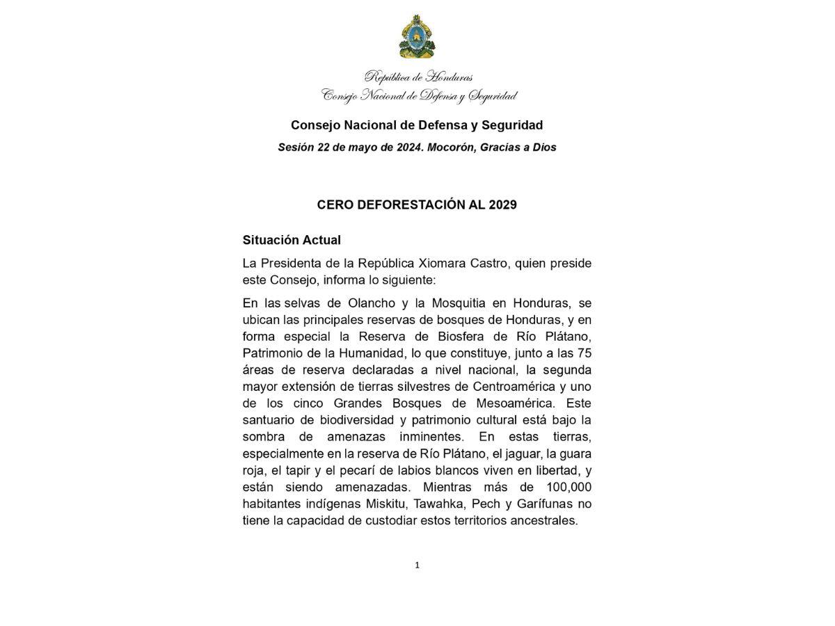 Consejo de Defensa y Seguridad decreta estado de emergencia ambiental