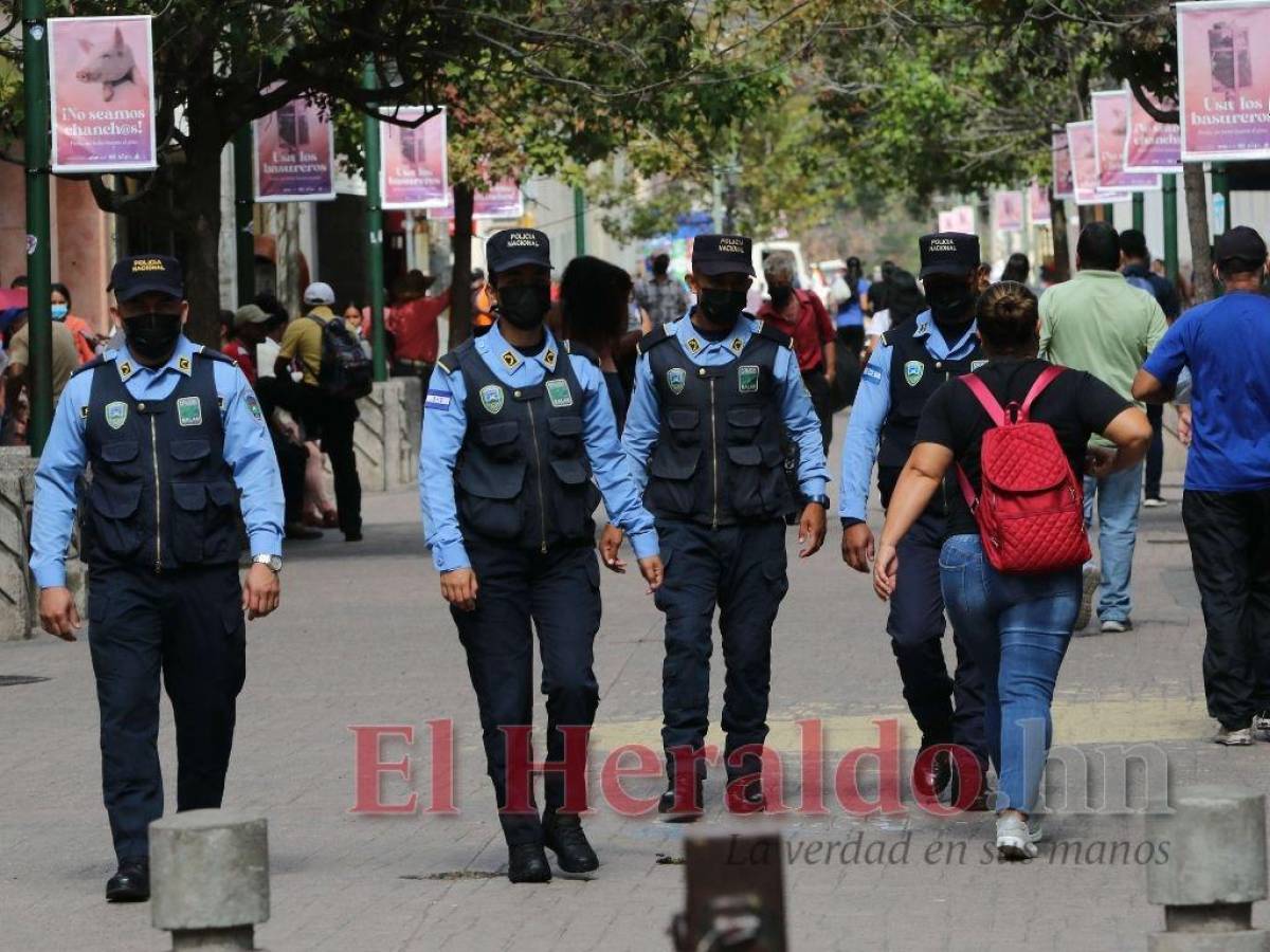 Los fondos para Seguridad fueron incrementados, no así para Defensa que conserva la misma partida.