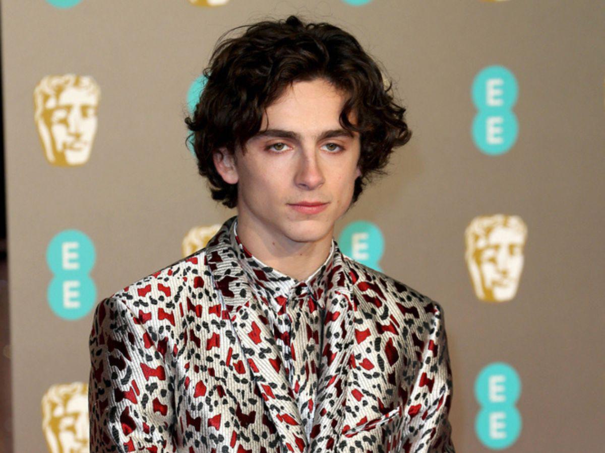 Timothée Chalamet: Wonka no es un “cínico robo de dinero”