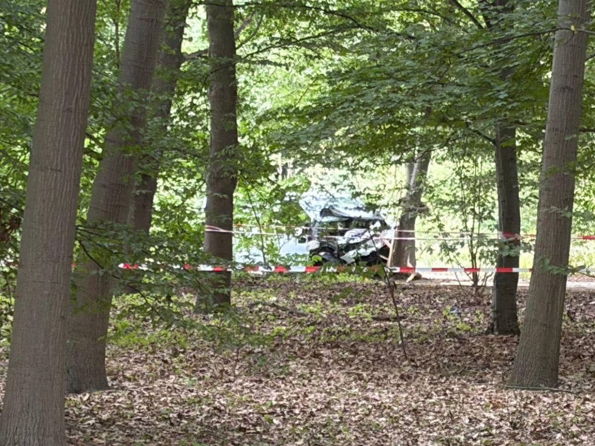 Un muerto y 29 heridos en atropello en el Día del Orgullo en Berlín; abaten al presunto autor
