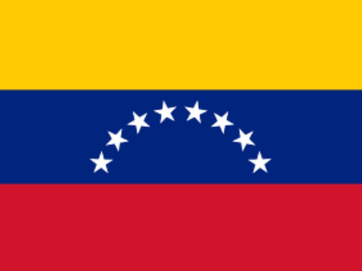 ¿Por Venezuela? Este es el verdadero significado del color de nuevas gradas en el Nacional