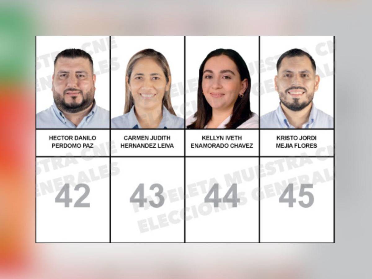 ¿Quiénes son los 45 candidatos a diputados que integran la papeleta por Santa Bárbara?