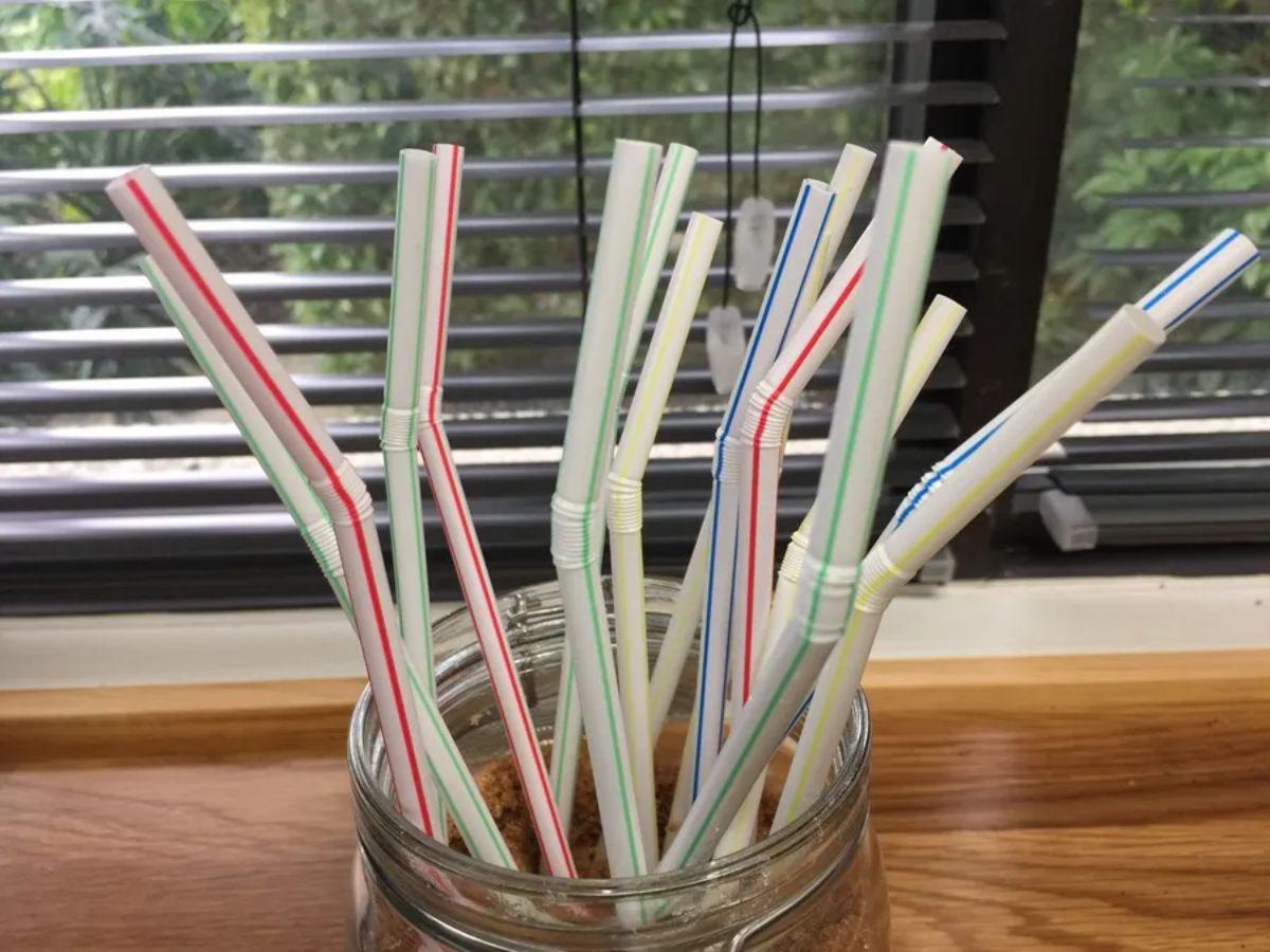 Desde la cantidad de agua en las duchas hasta el futuro de las pajillas: las medidas extravagantes de Trump